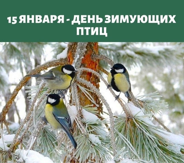 День в календаре.